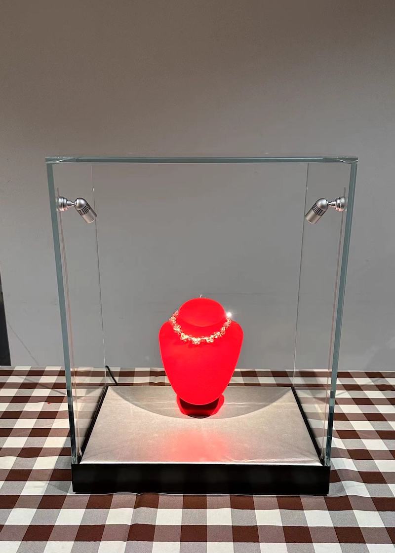 New Product Application Introduction: Transparent Track for Jewelry Display